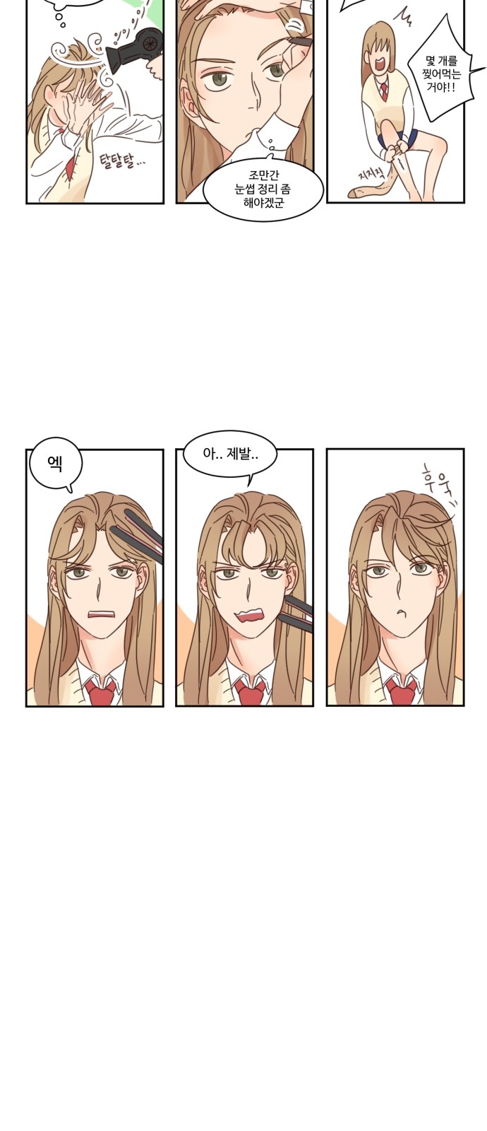 5 페이지
