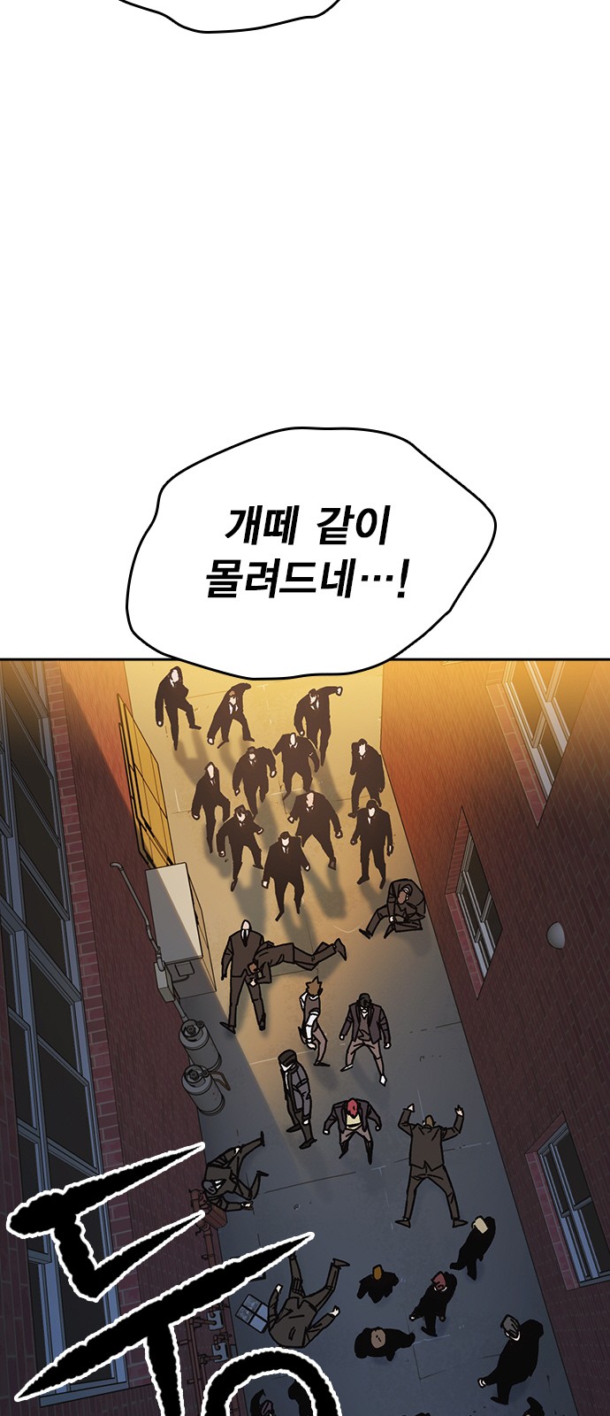 73 페이지