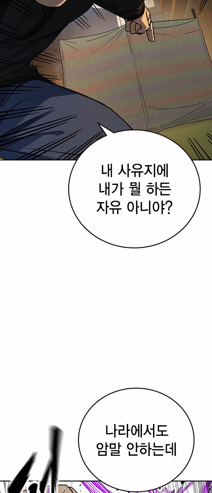 81 페이지