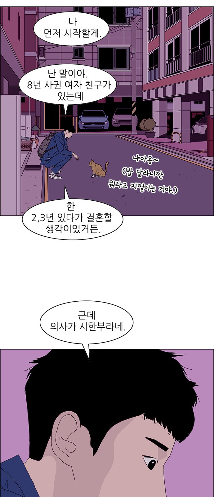 36 페이지