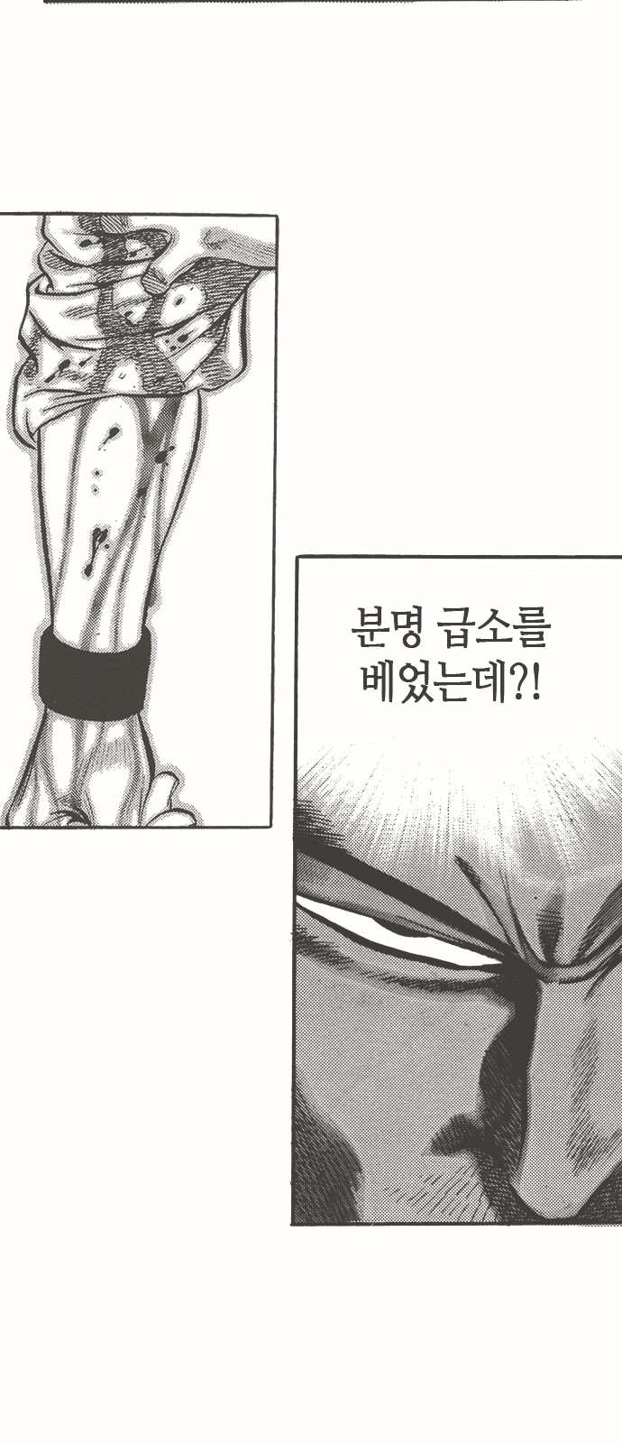 31 페이지