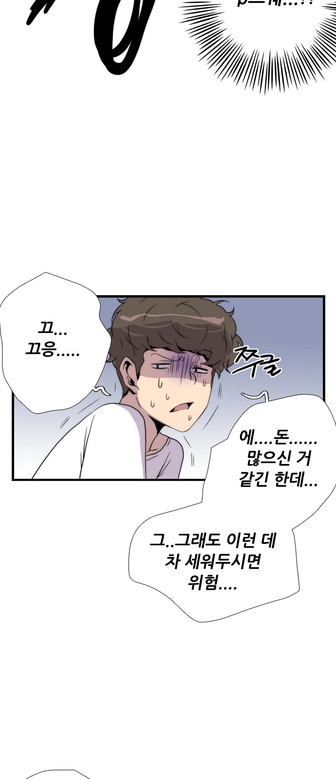 66 페이지