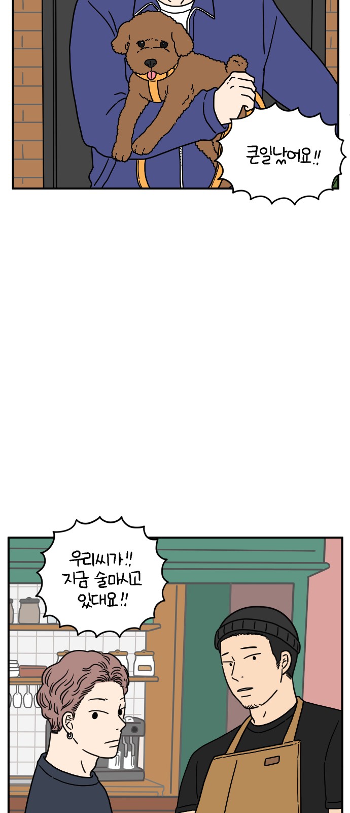 66 페이지
