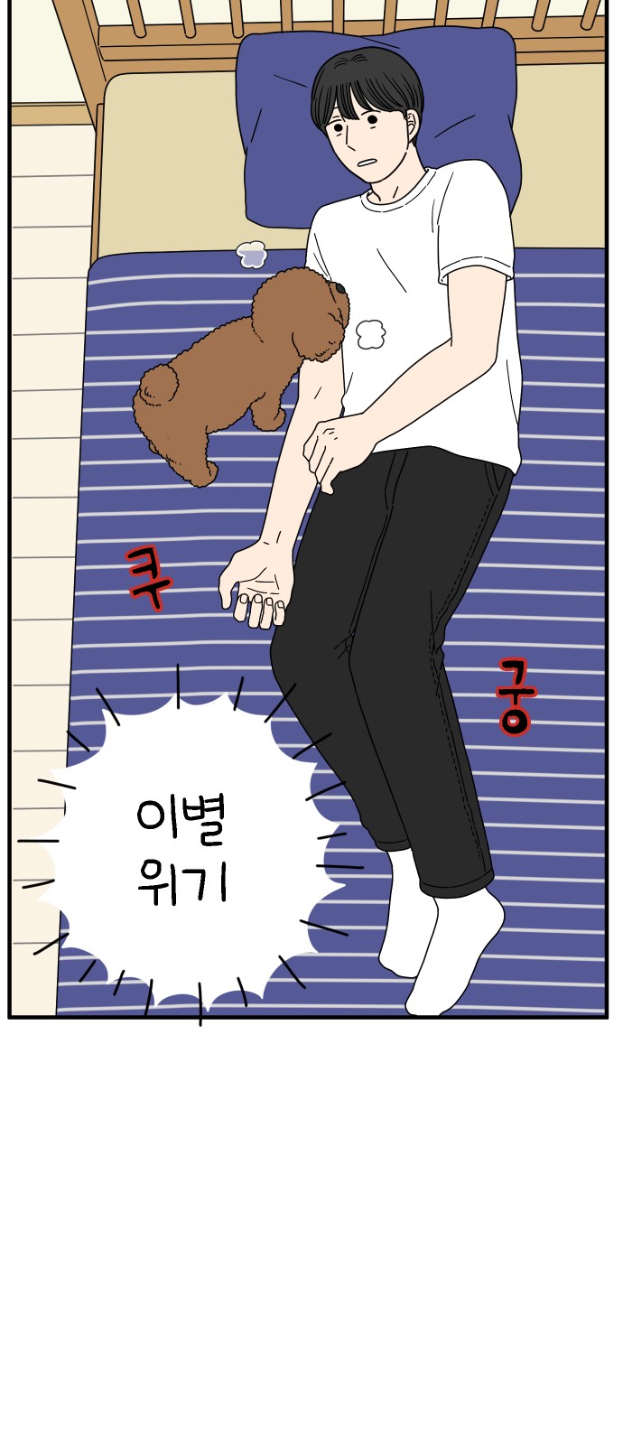 22 페이지