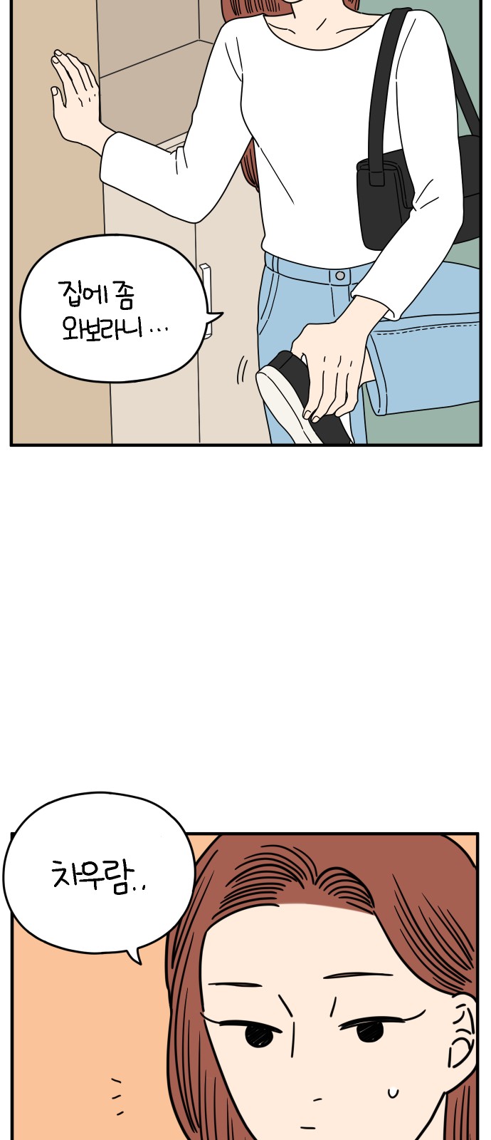 52 페이지