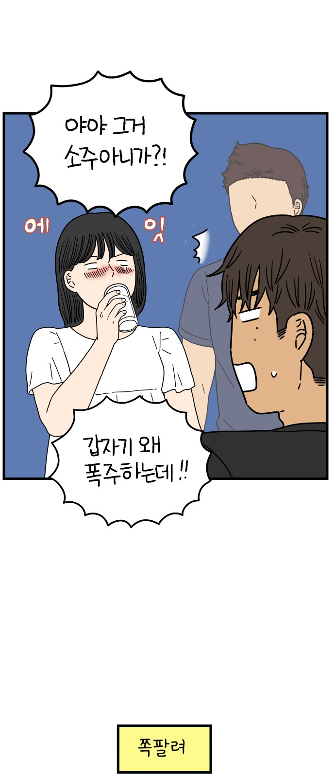33 페이지