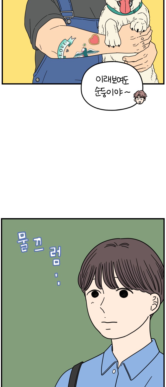 39 페이지