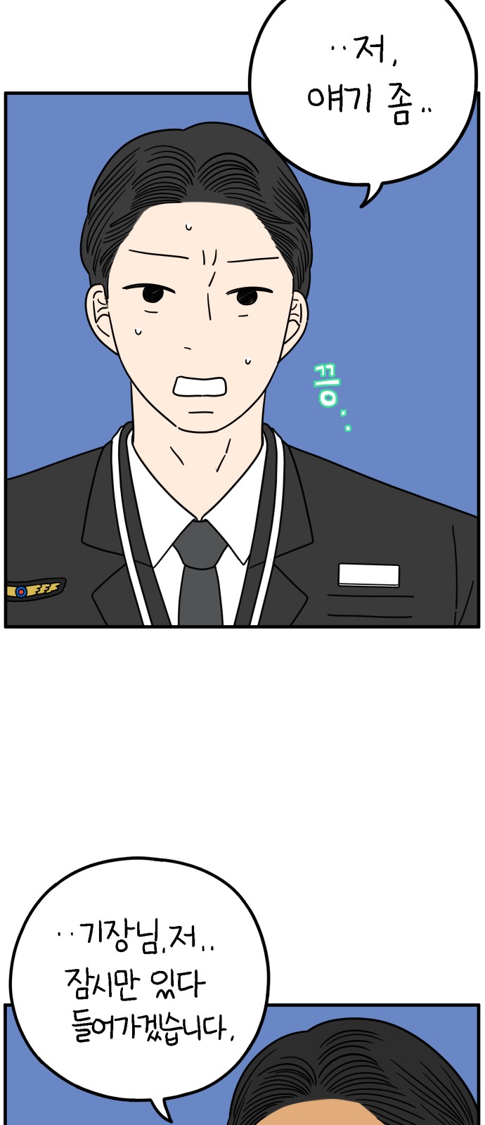 46 페이지