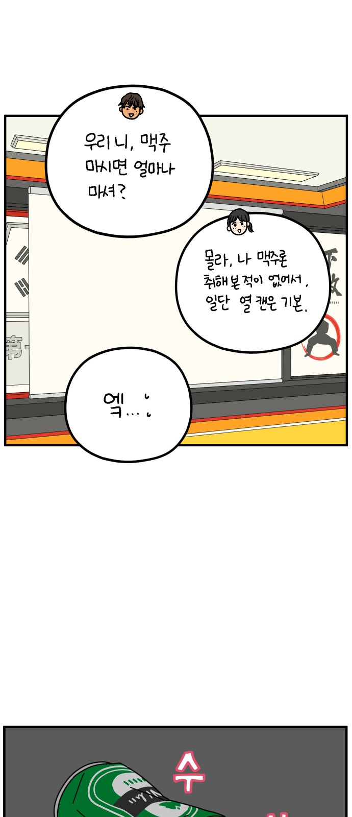 46 페이지