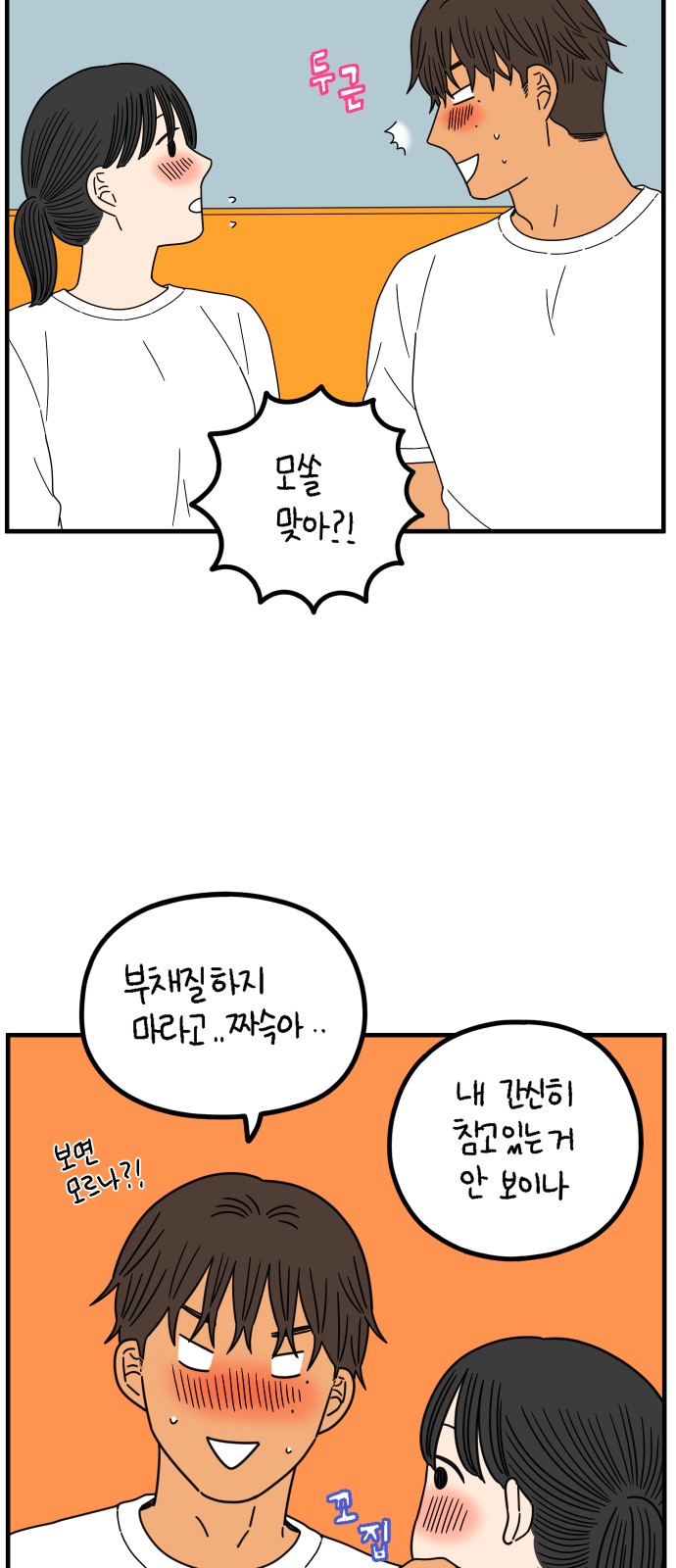 46 페이지