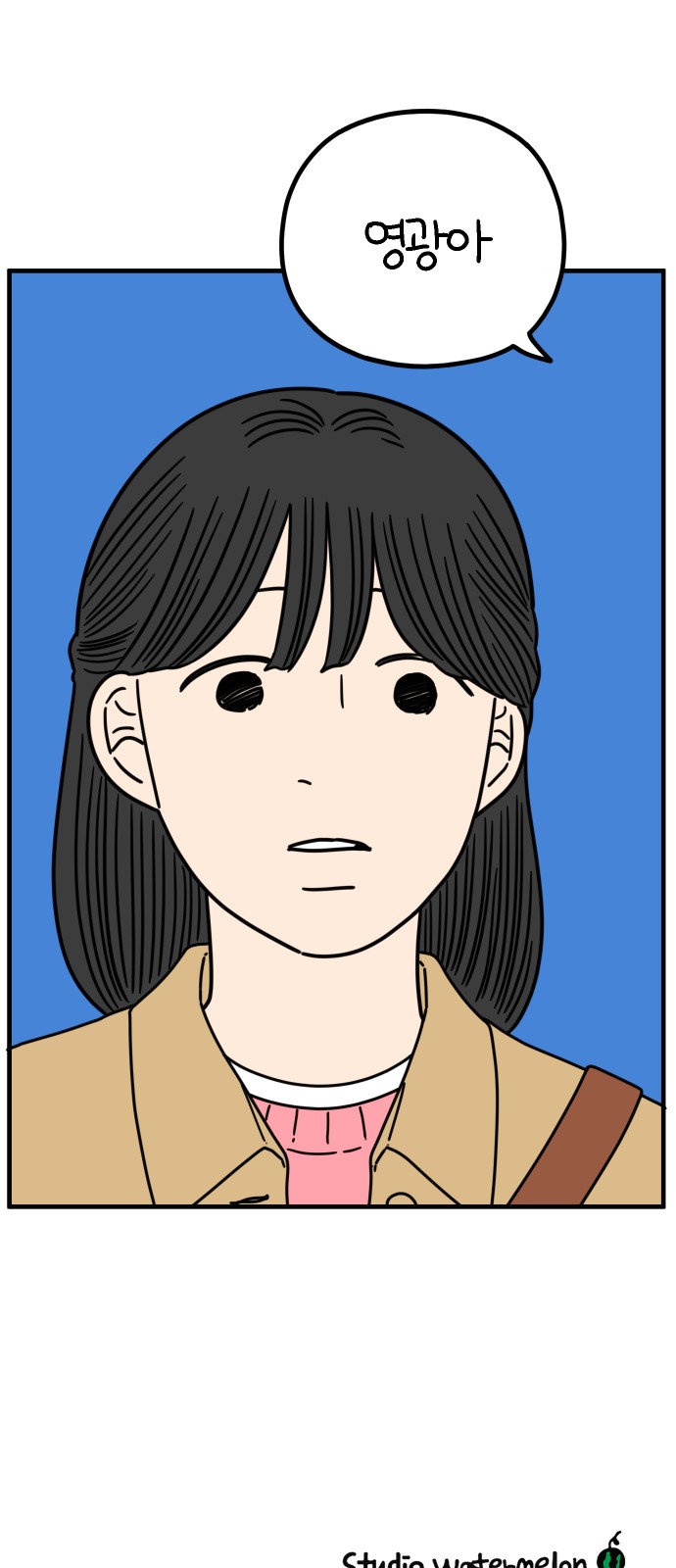 67 페이지