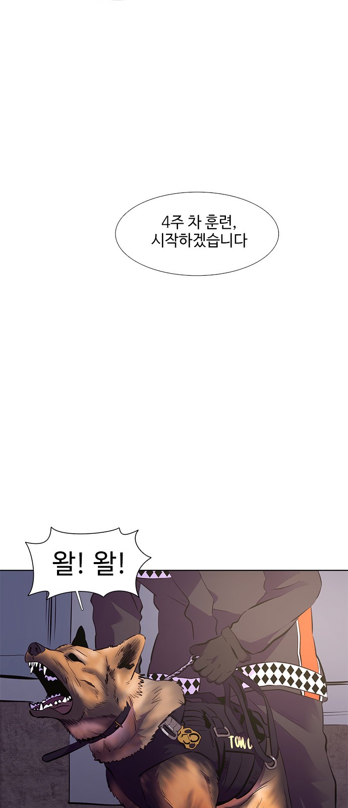 42 페이지