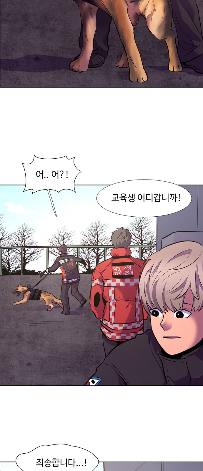 43 페이지