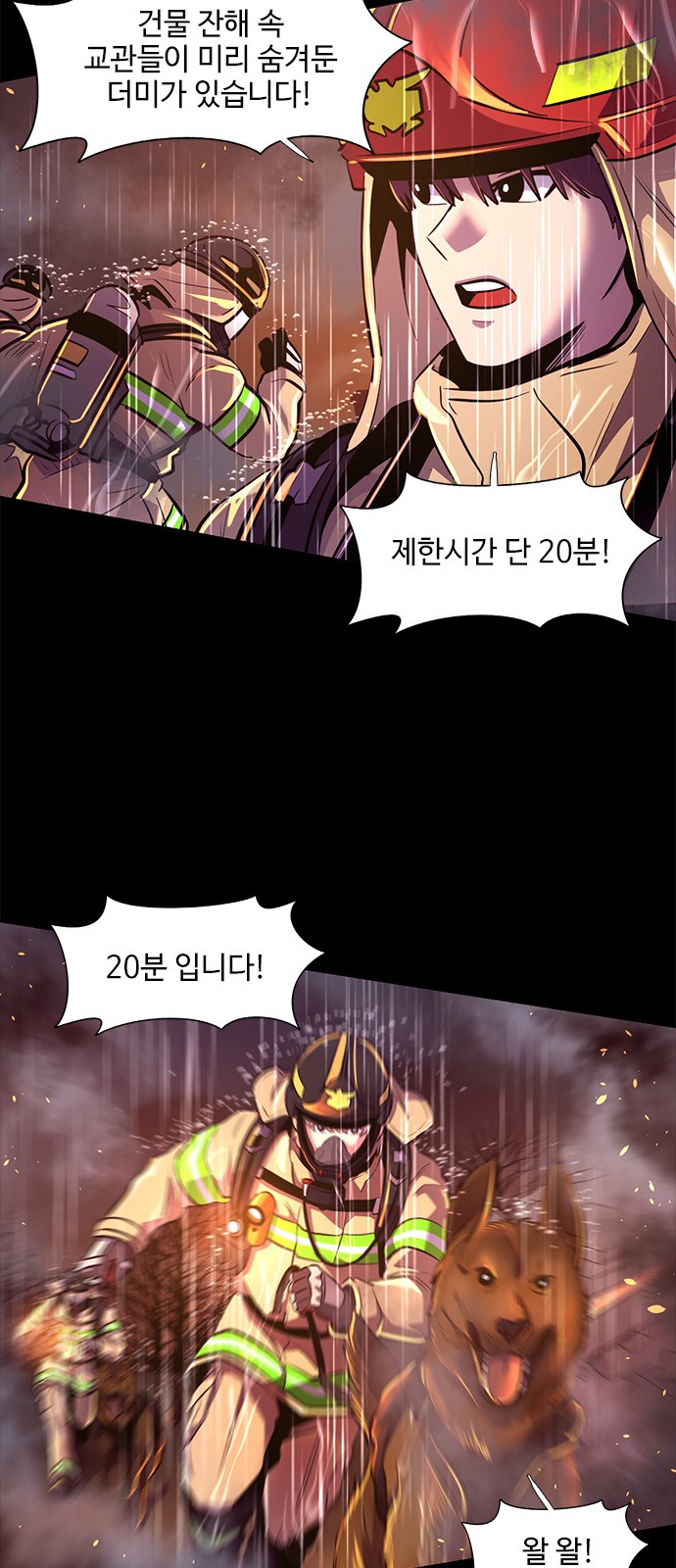 11 페이지