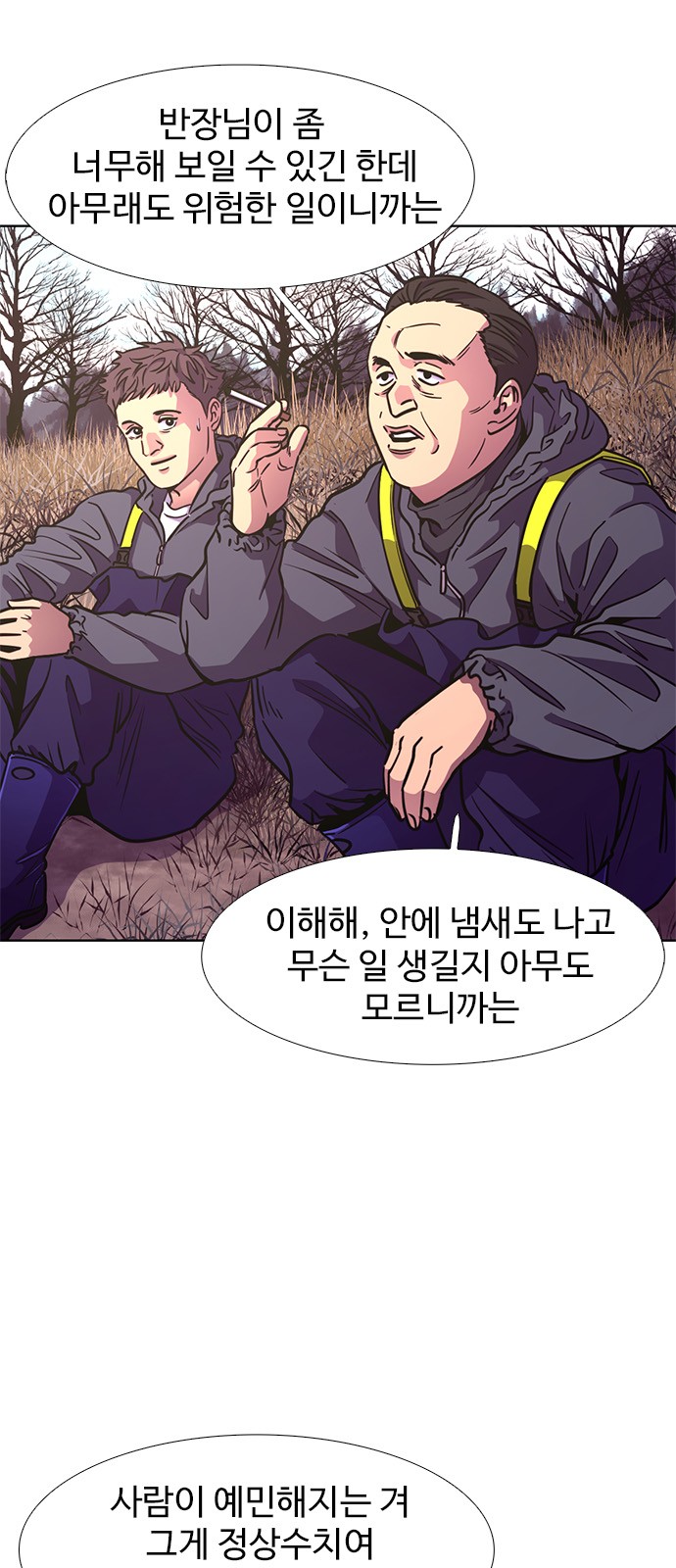 14 페이지
