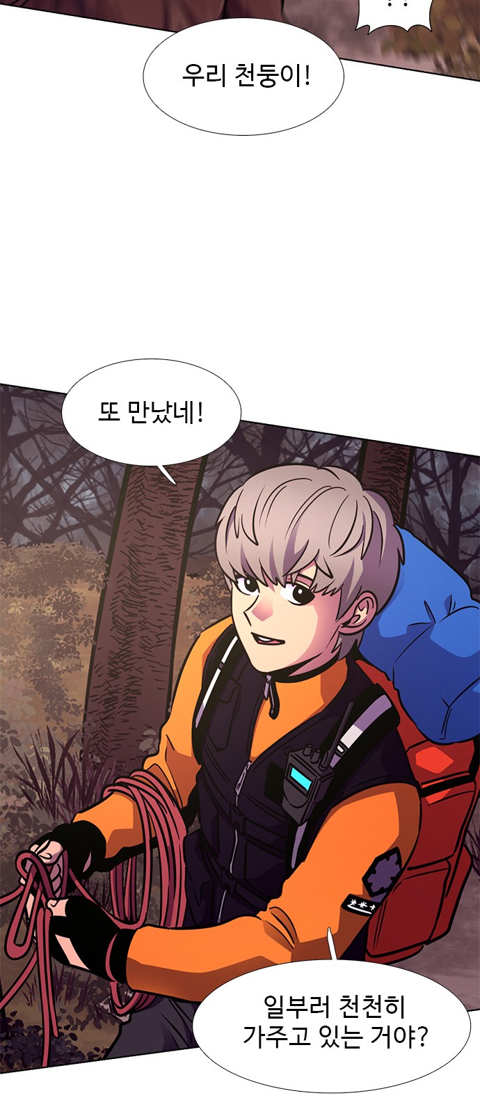 41 페이지