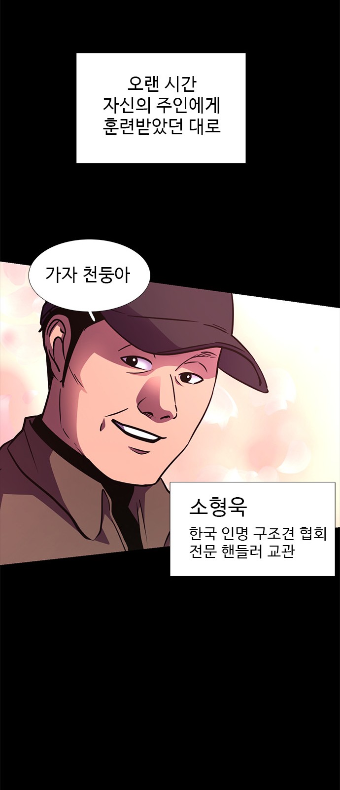 51 페이지