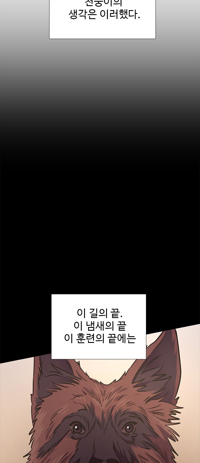 54 페이지