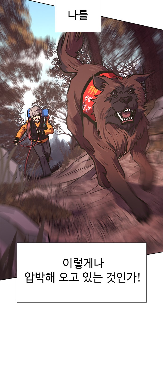 65 페이지
