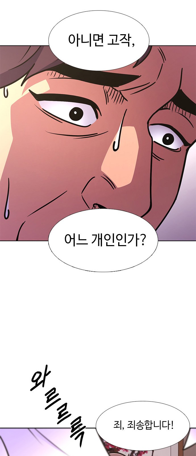 33 페이지