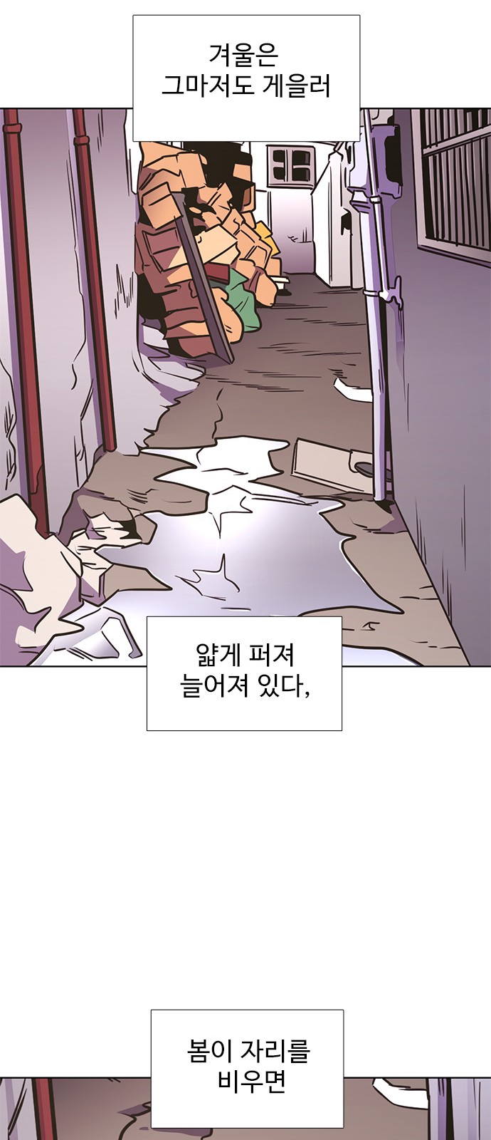 31 페이지