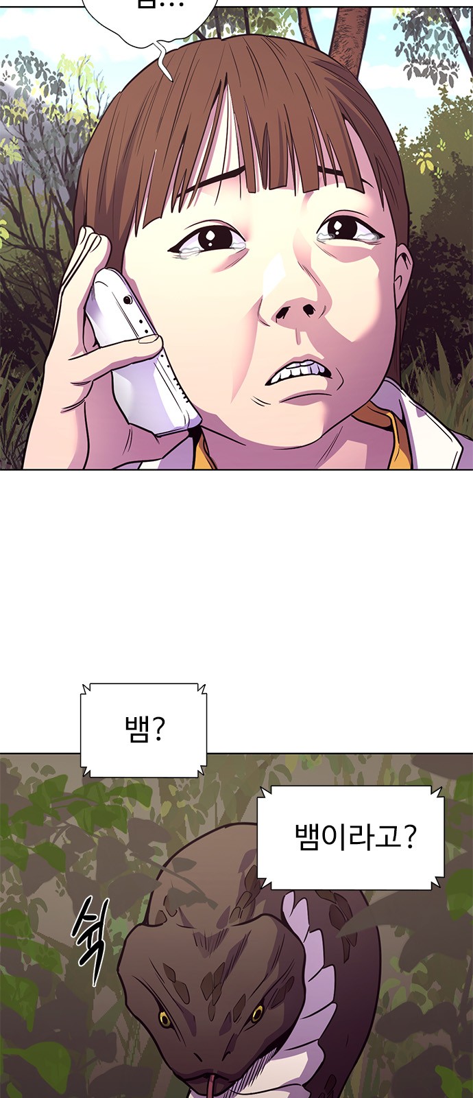 45 페이지