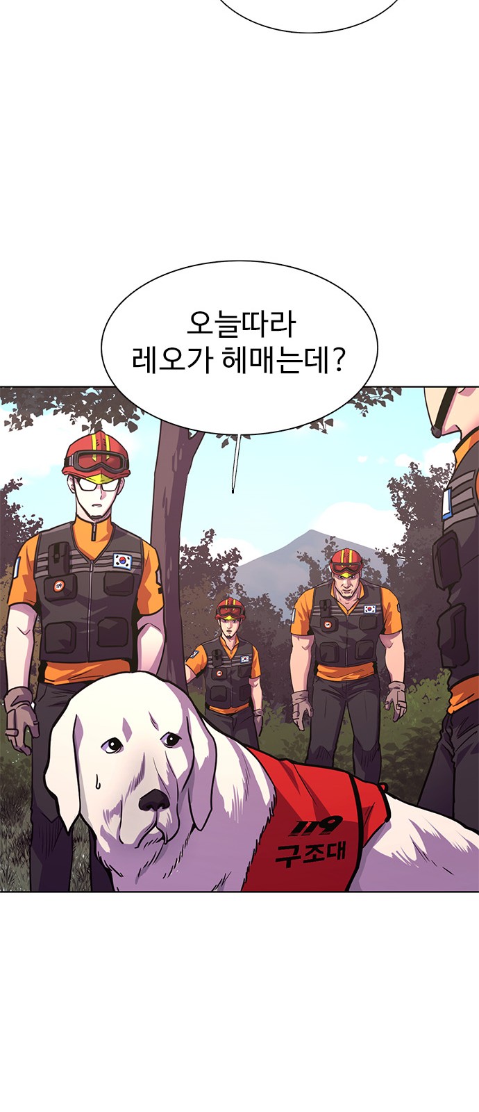 29 페이지