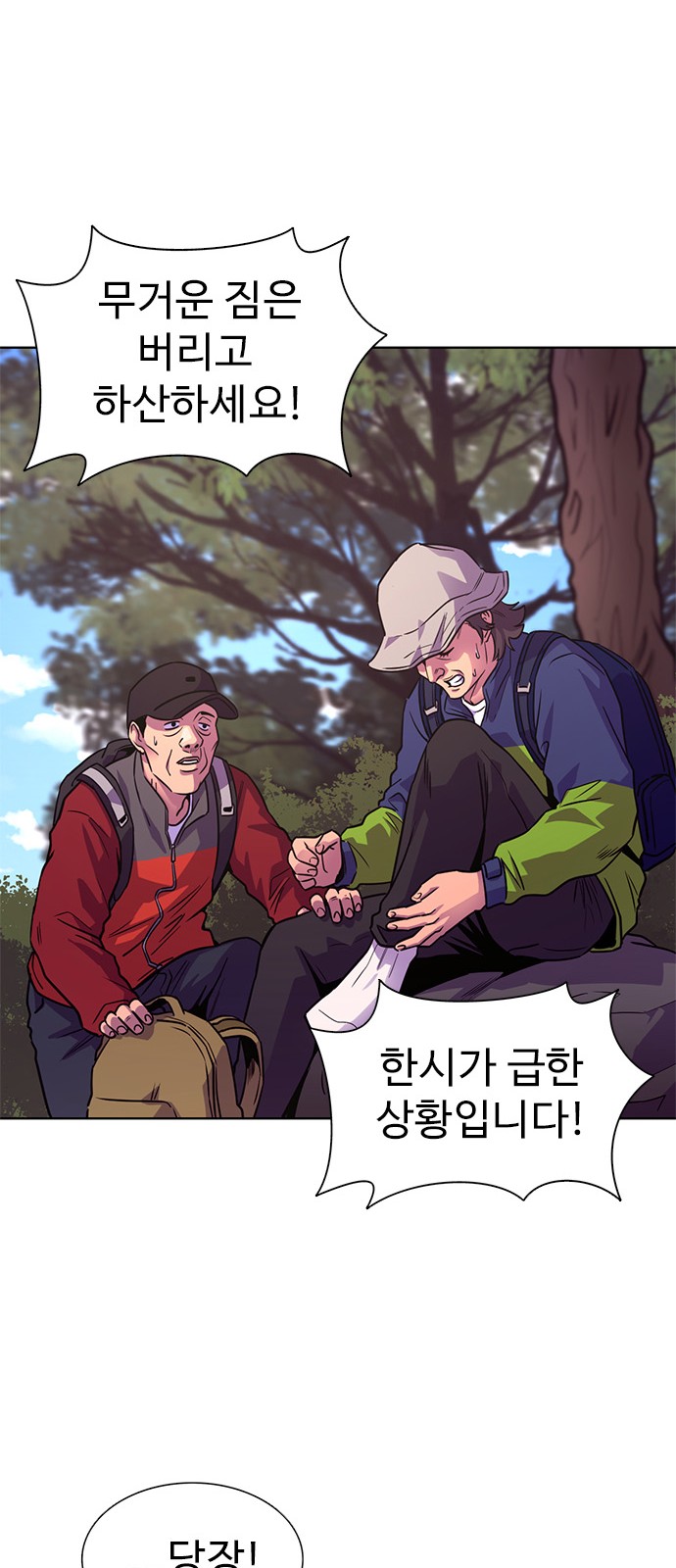 39 페이지