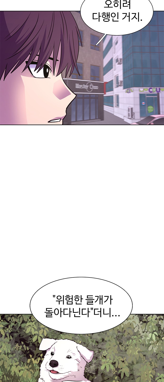 13 페이지