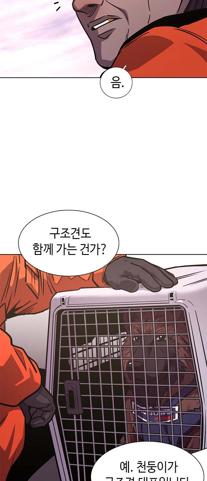 60 페이지