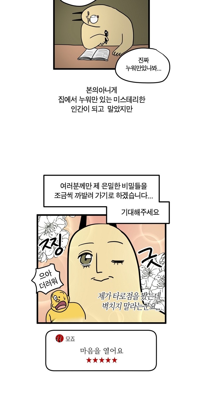 14 페이지