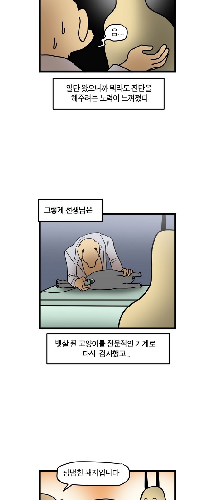 12 페이지