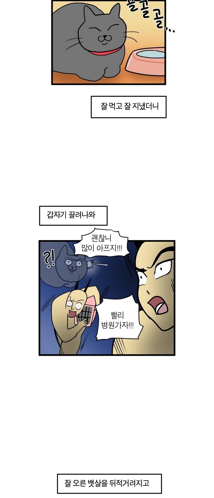 14 페이지