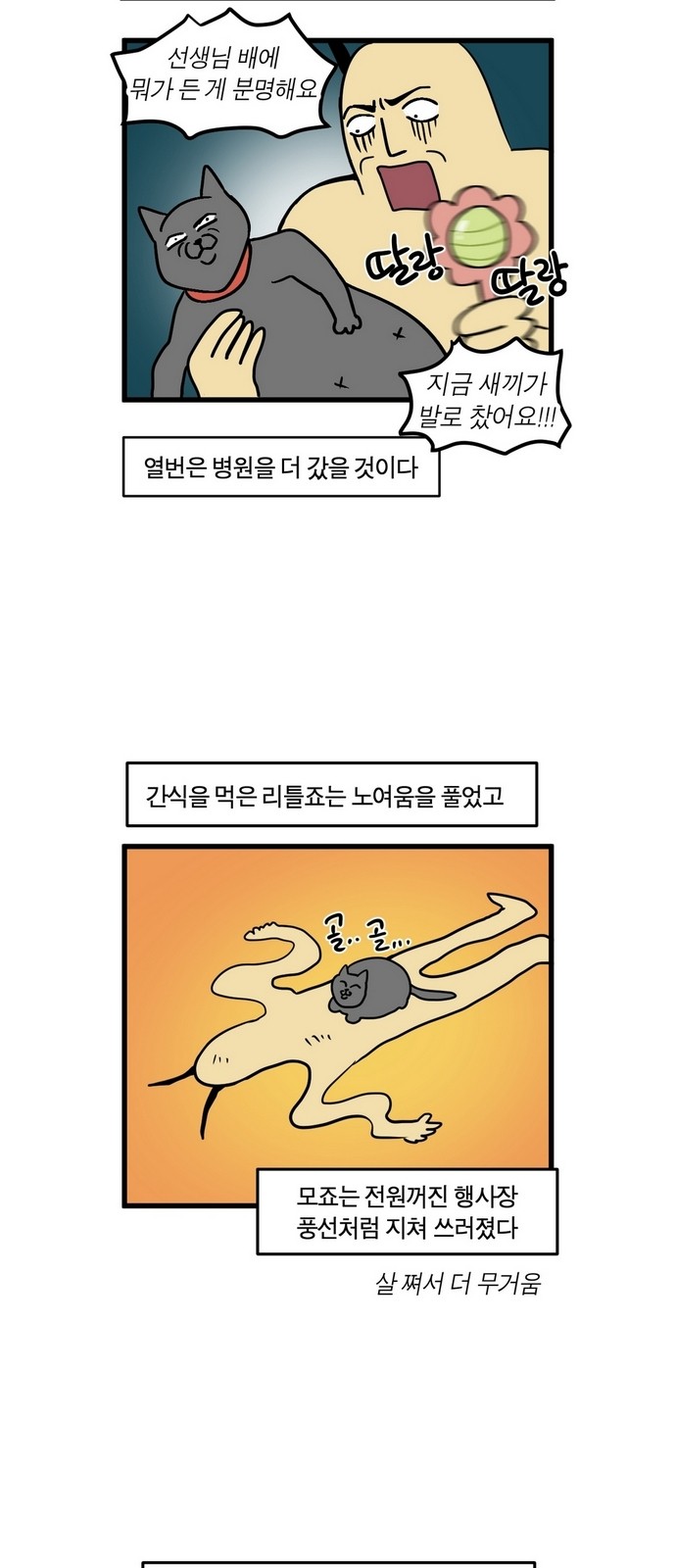 16 페이지