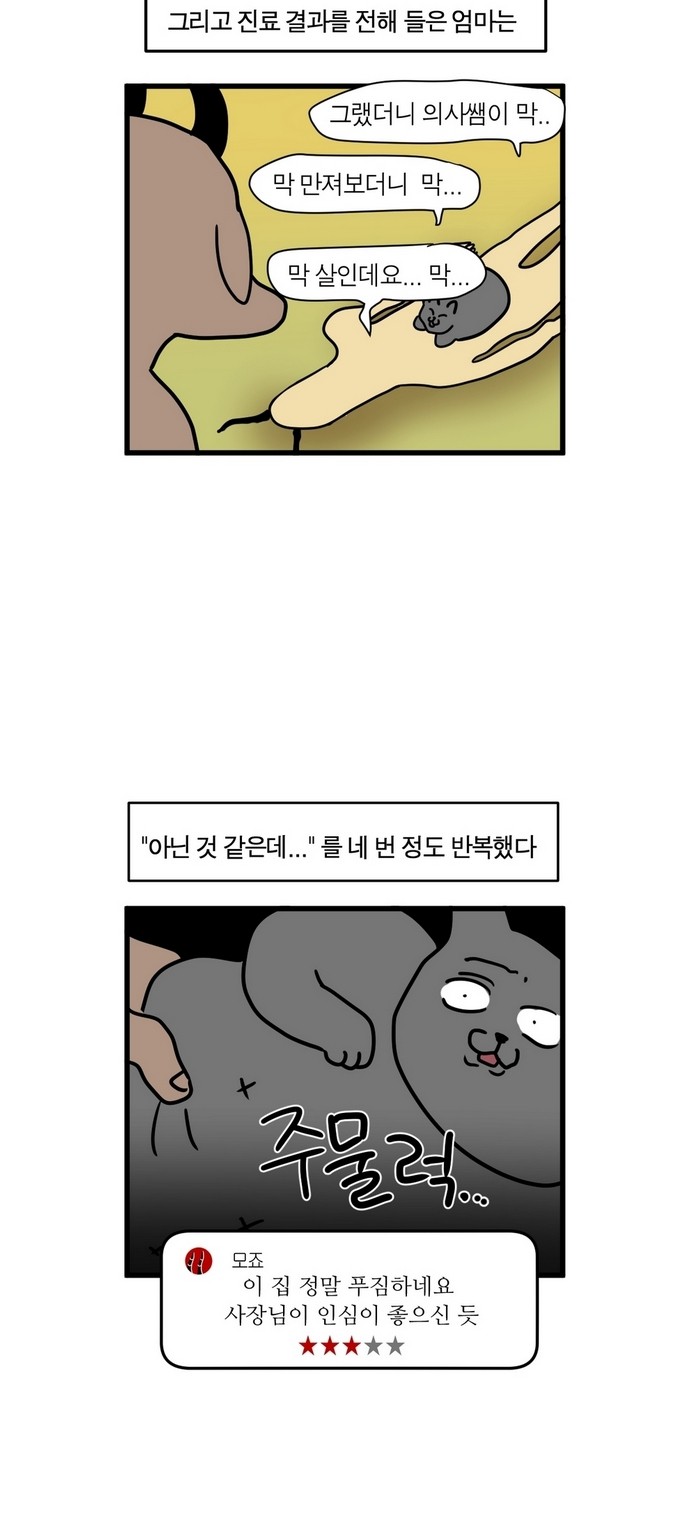 17 페이지
