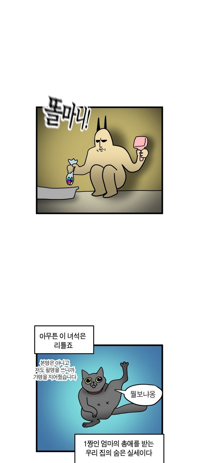 5 페이지