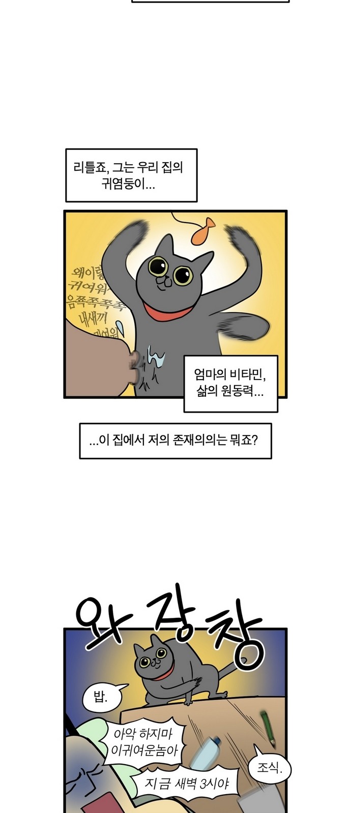 6 페이지