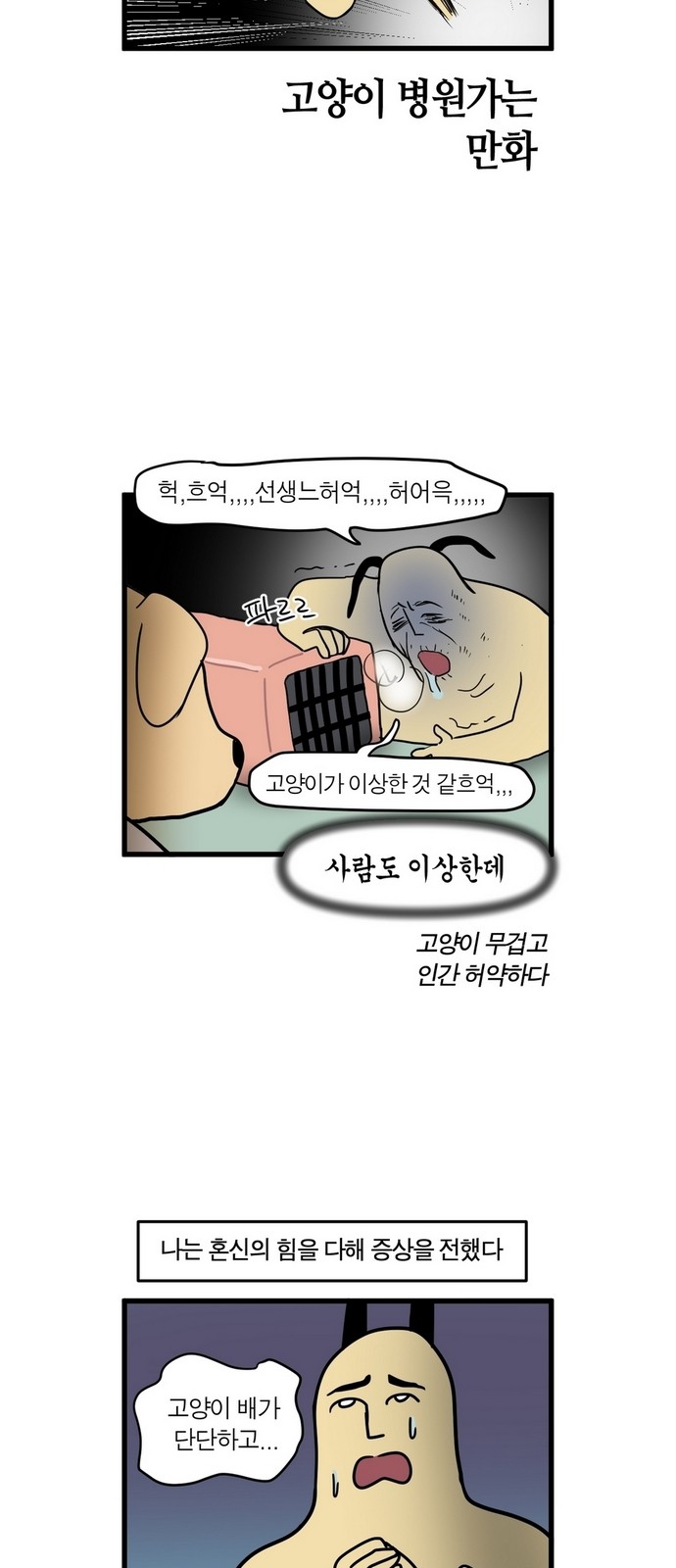 8 페이지