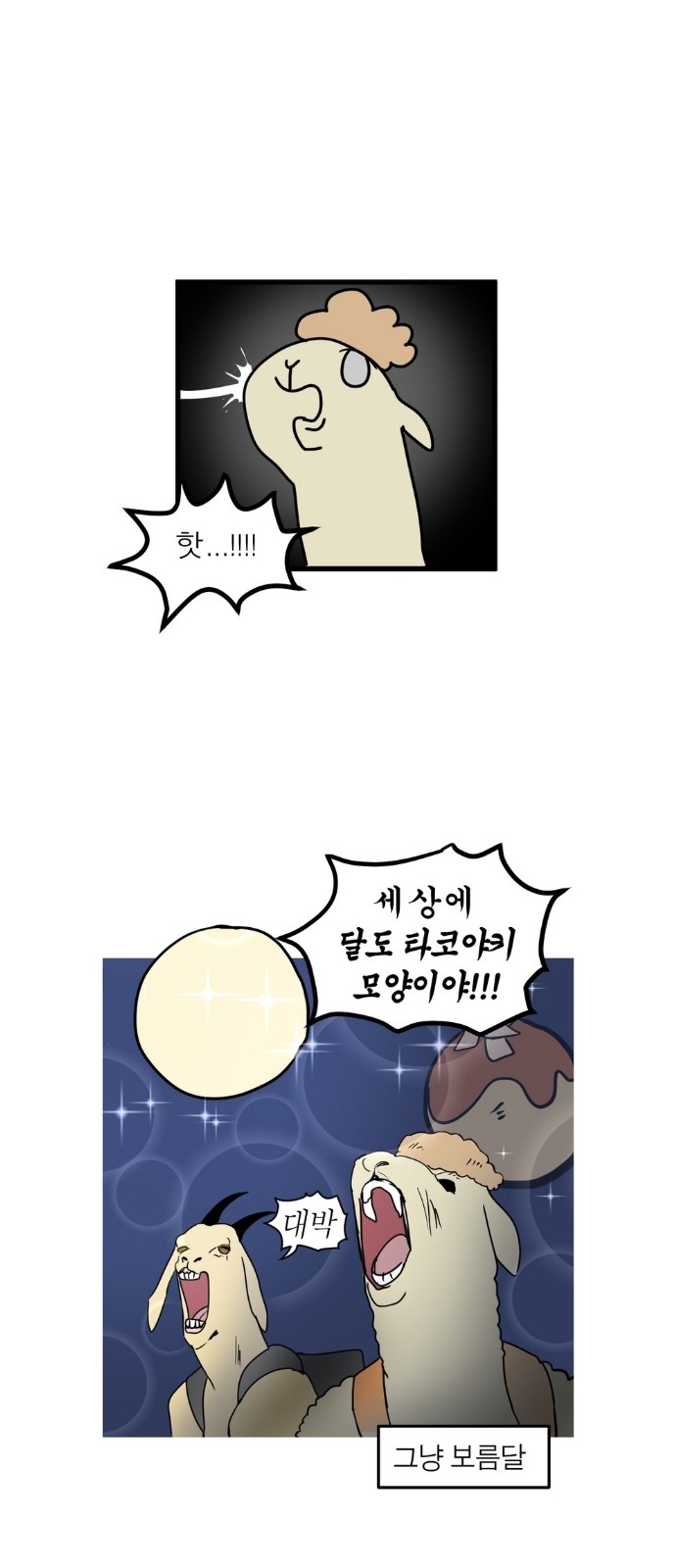 11 페이지