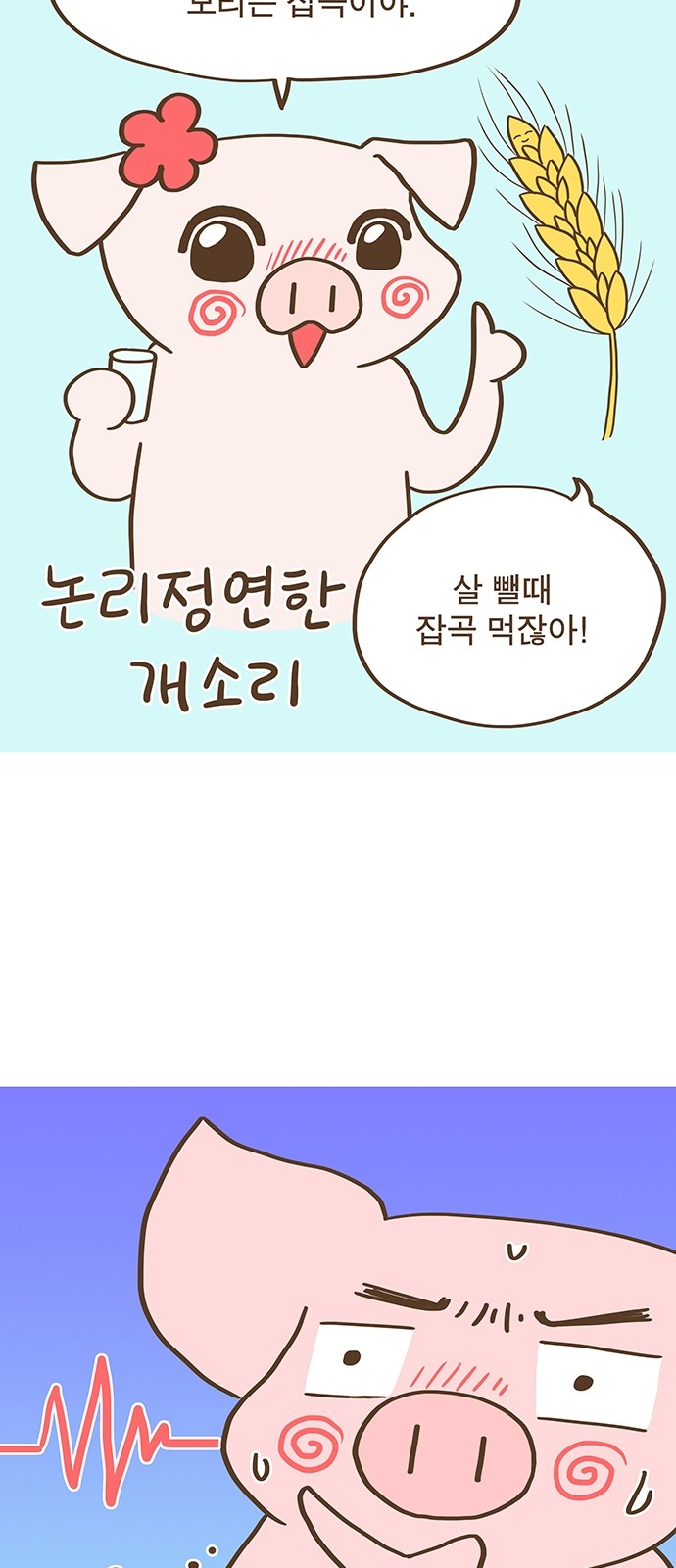 11 페이지