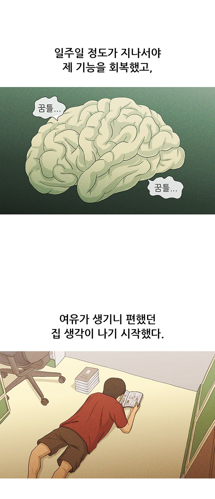 48 페이지
