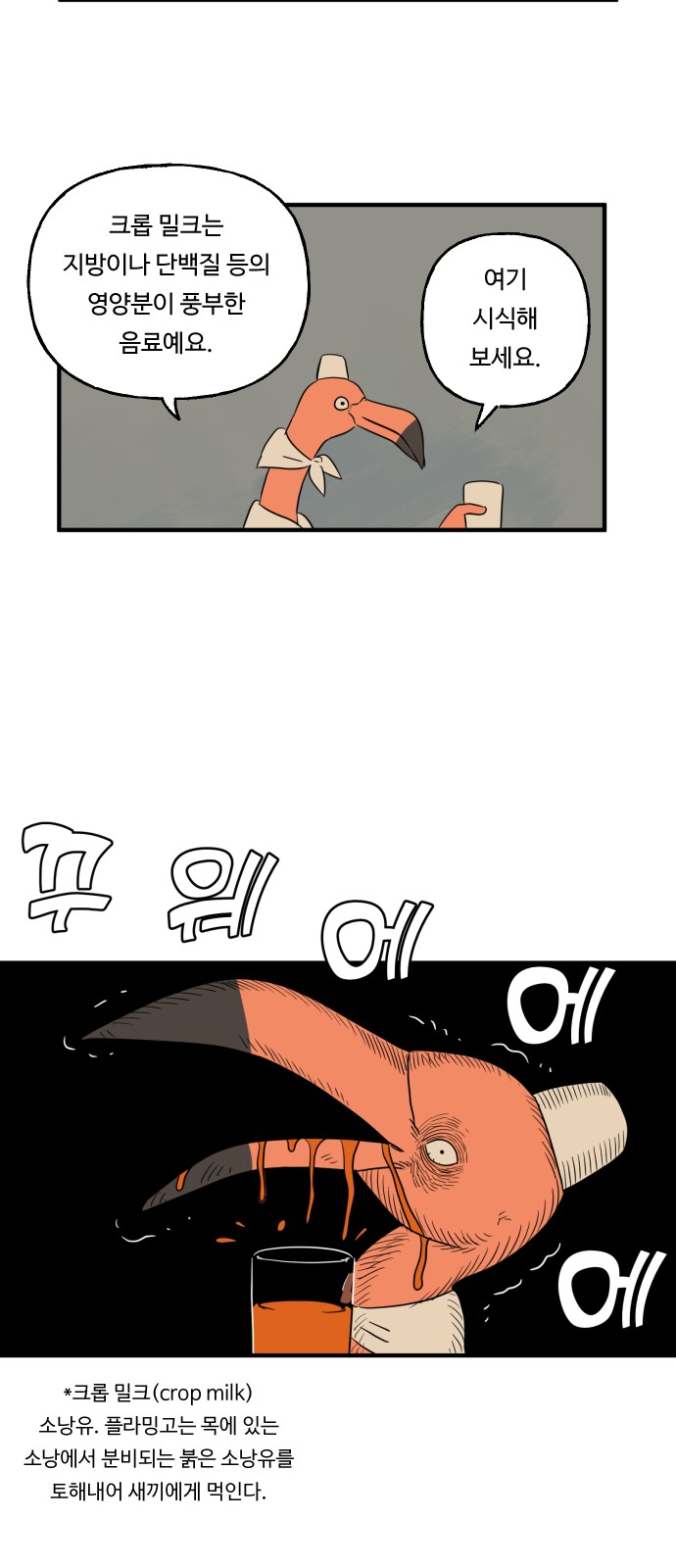 14 페이지