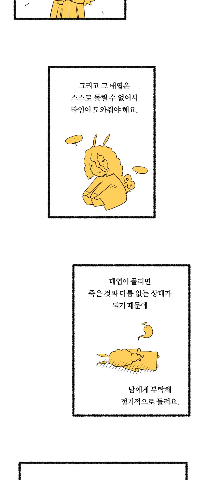 15 페이지