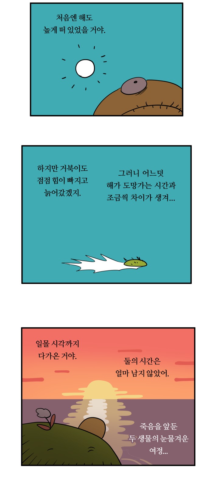 13 페이지