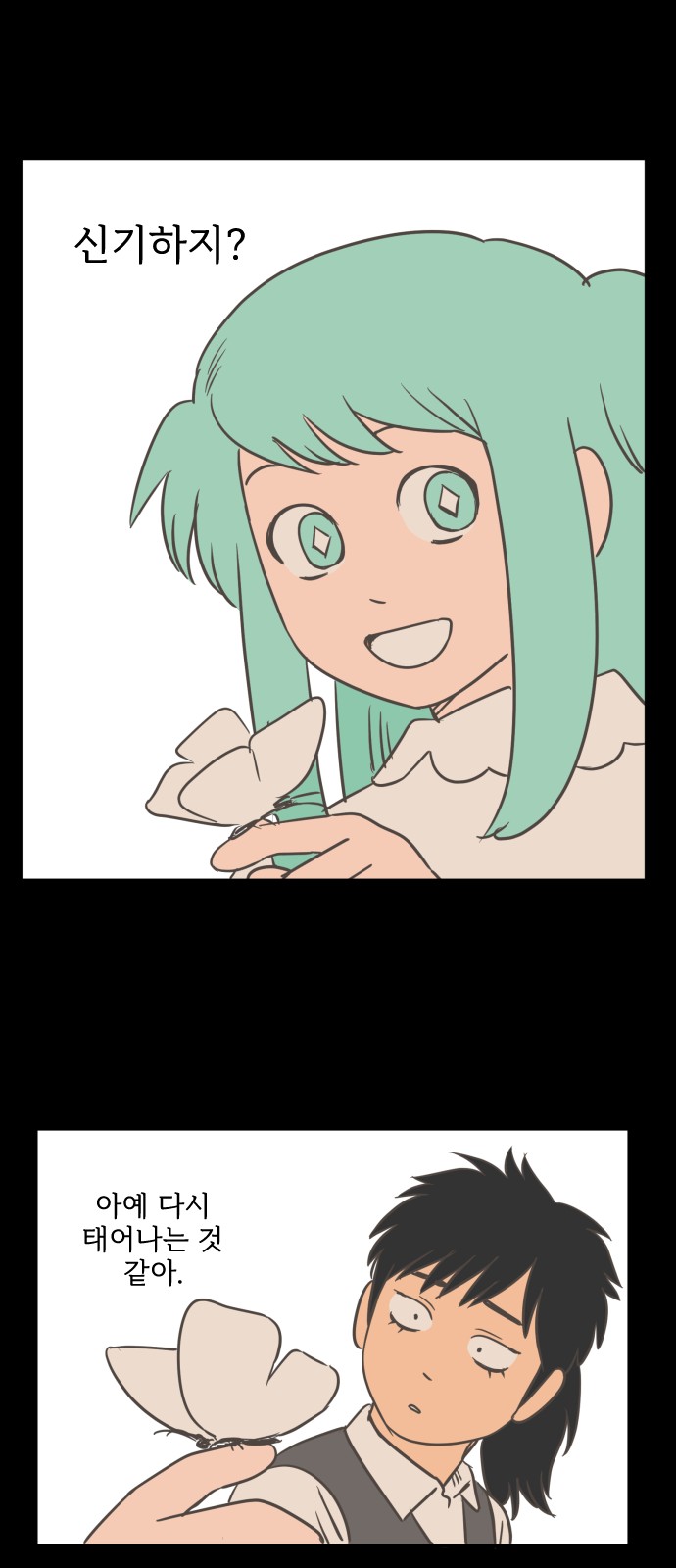12 페이지