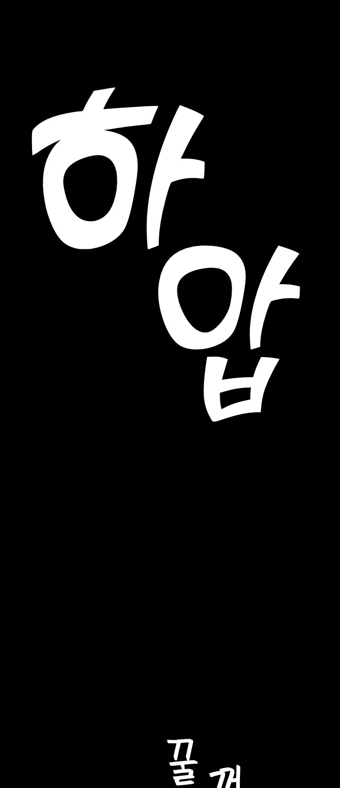 33 페이지