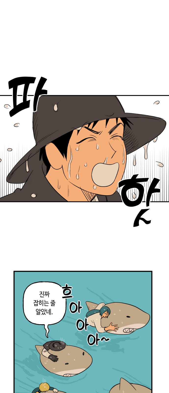 15 페이지