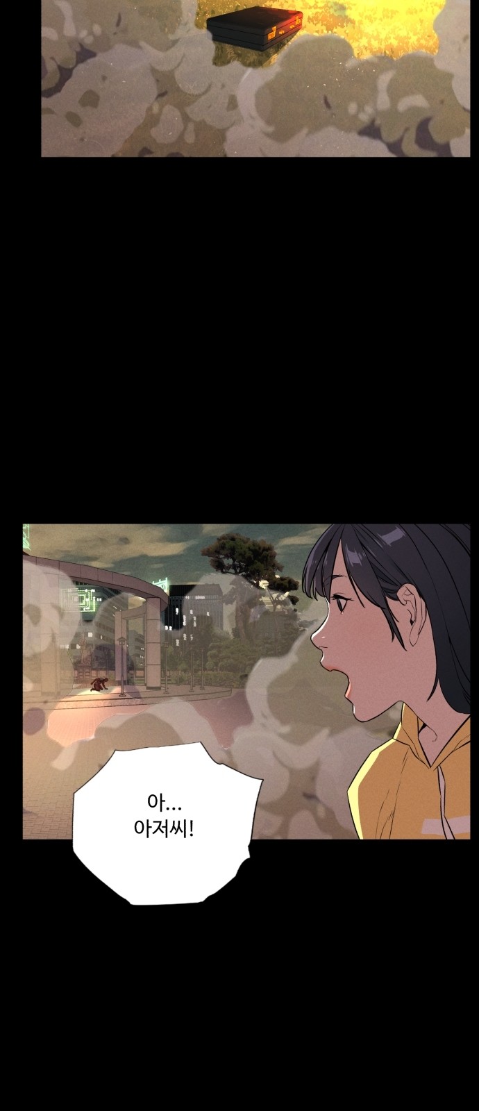 65 페이지