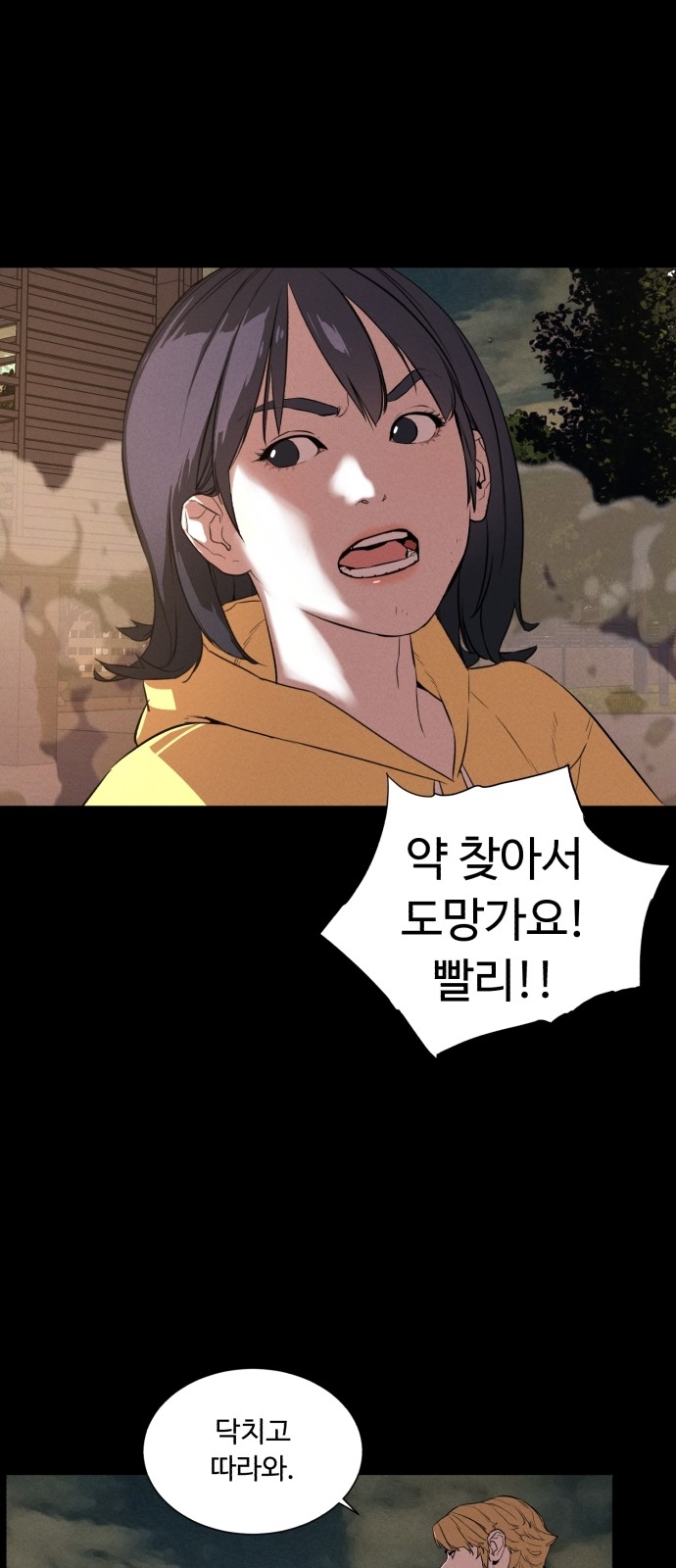 66 페이지