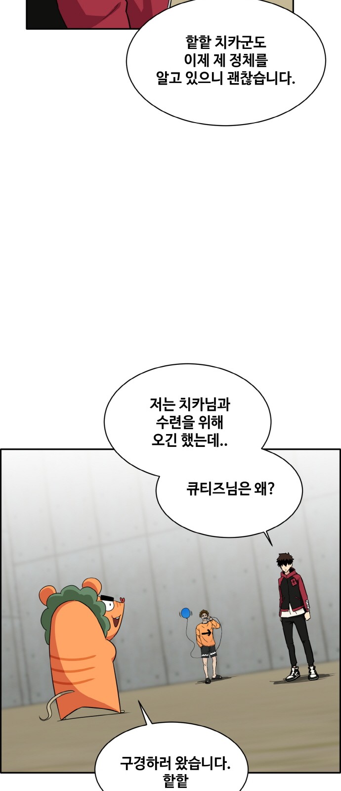 43 페이지